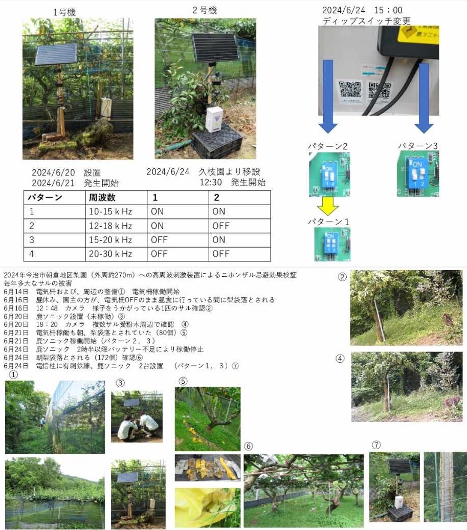 愛媛県今治市