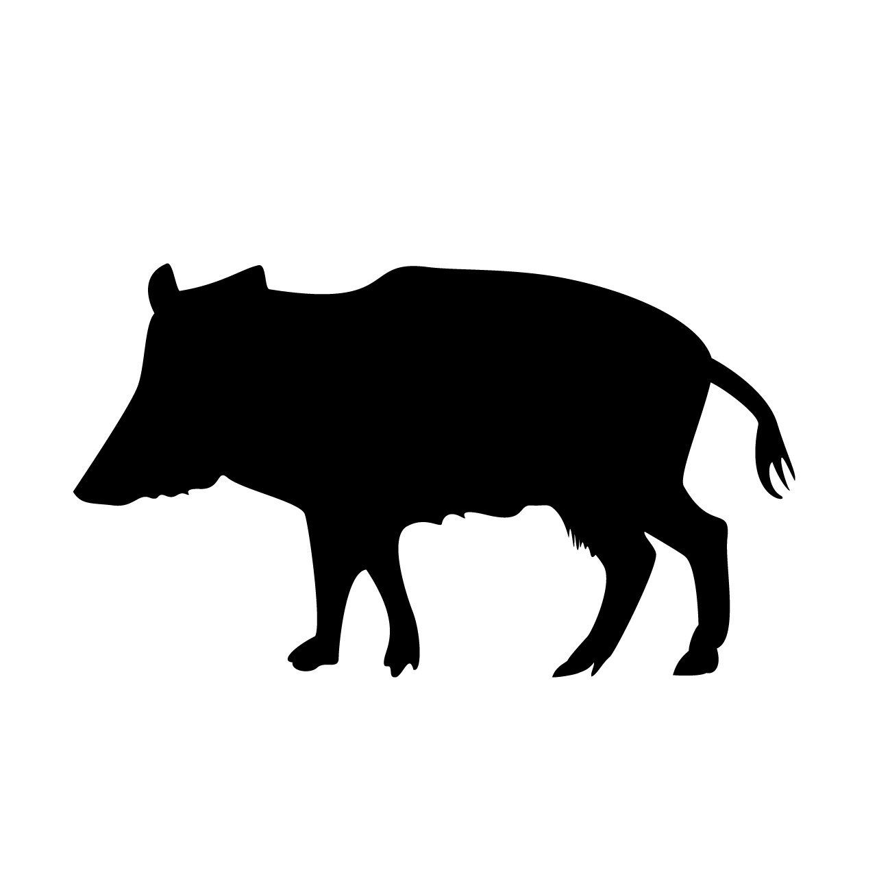 イノシシ